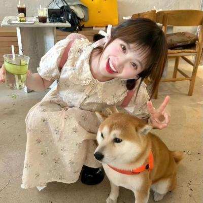 花月流情